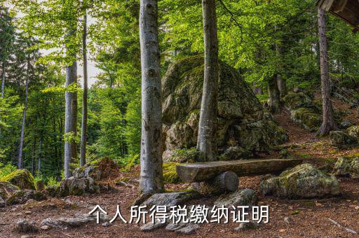 個(gè)人稅務(wù)證明是什么，什么是個(gè)人納稅證明