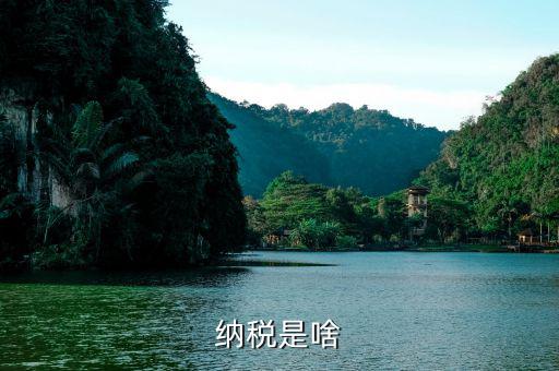 什么叫納稅，什么是納稅 六年級(jí)數(shù)學(xué)