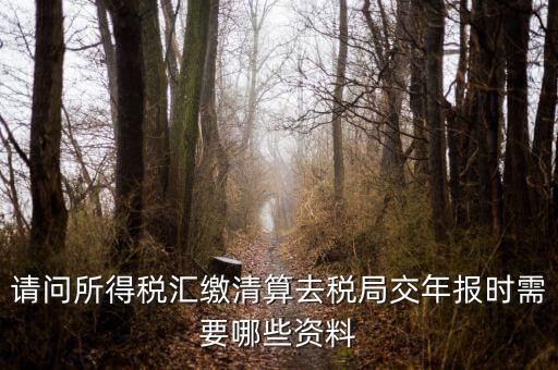 公司稅務(wù)年報(bào)需要什么，問(wèn)企業(yè)所得稅年報(bào)怎么報(bào)需要什么資料