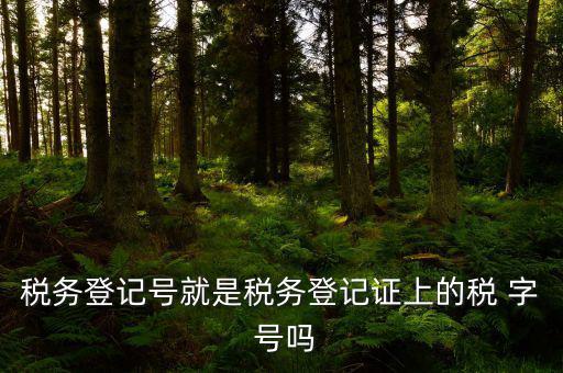 稅務(wù)登記證是什么字體，稅務(wù)登記證上的這是什么字體