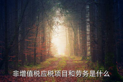 什么是非增值稅應勞務，什么是非增值稅應稅勞務希望懂的朋友能夠說得通俗易懂點或是舉