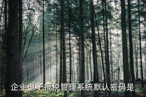 電子稅務(wù)局的初始密碼是什么，稅務(wù)局網(wǎng)站的登入賬戶初始密碼是什么
