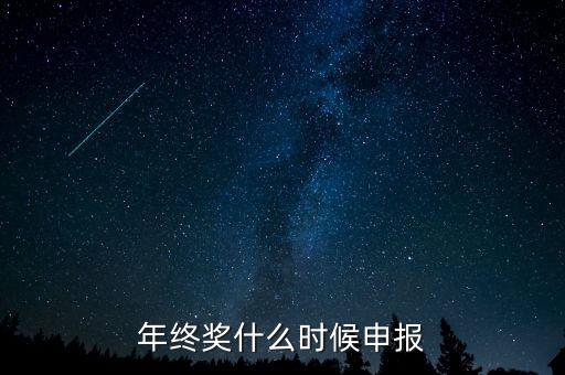 年終獎什么時(shí)候申報(bào)
