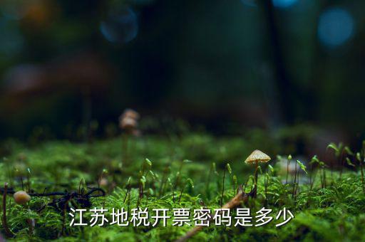 江蘇地稅密碼是什么，江蘇地稅開票密碼是多少
