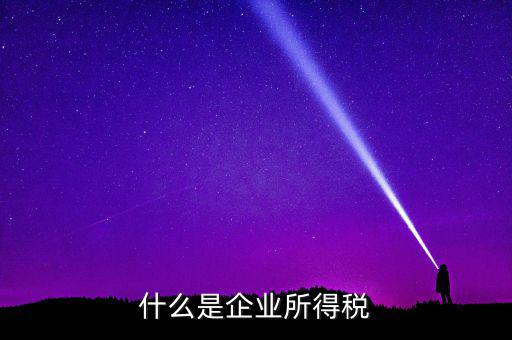 什么是公司所得稅，企業(yè)所得稅是什么意思