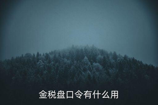 報(bào)稅數(shù)字證書(shū)口令是什么，陜西天暢偉業(yè)的網(wǎng)上報(bào)稅系統(tǒng)的登錄口令是什么