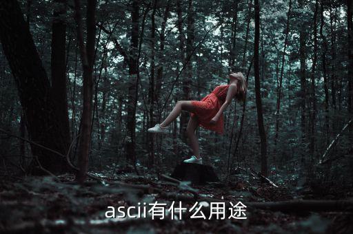 稅優(yōu)識別碼有什么用，ascii有什么用途