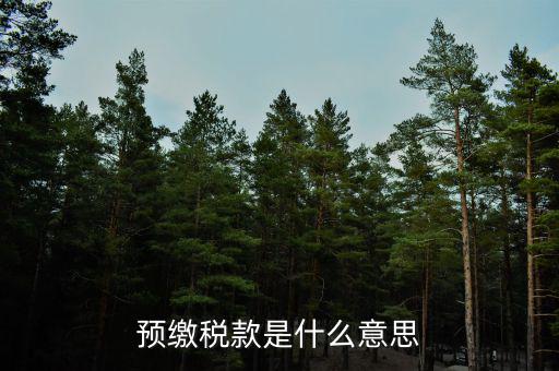 已預(yù)繳稅費(fèi)指什么，預(yù)繳稅款是什么意思