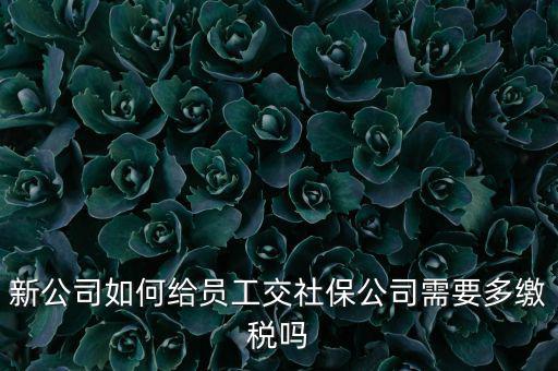 公司交社保要交什么稅，企業(yè)為員工交養(yǎng)老保險要不要交稅的