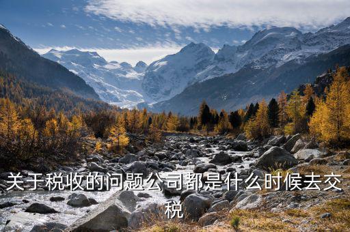 每個什么時候交稅，關于稅收的問題公司都是什么時候去交稅