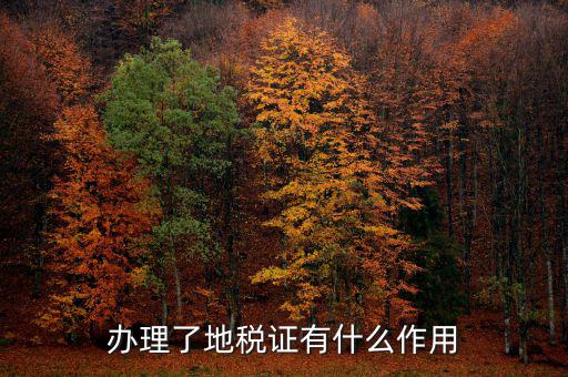 地稅局作用是什么，地稅局給我們帶來了哪些好處