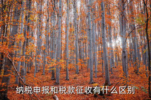 什么是申報(bào)征收，什么是房產(chǎn)稅的申報(bào)繳納
