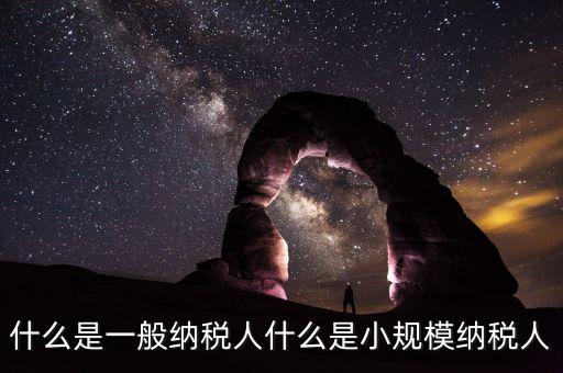 什么企業(yè)是一般納稅人，什么叫一般納稅人我如何辨別自己公司是否是一般納稅人