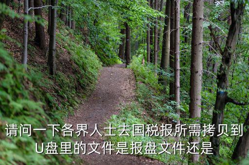 稅務(wù)報(bào)盤文件是什么，請(qǐng)問一下各界人士去國(guó)稅報(bào)所需拷貝到U盤里的文件是報(bào)盤文件還是