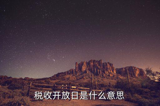 國稅開放日是什么意思，稅收開放日是什么意思