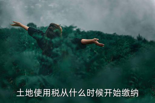 城鎮(zhèn)土地使用稅什么時(shí)候交，房地產(chǎn)開(kāi)發(fā)企業(yè)繳納城鎮(zhèn)土地使用稅的時(shí)間是多久