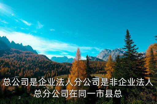 非總分機(jī)構(gòu)是什么，納稅人基本情況表沒(méi)有總分機(jī)構(gòu)總機(jī)構(gòu)名稱等還要不要填
