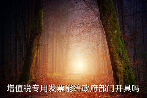 什么內(nèi)容的發(fā)票不可以給政府部門(mén)，增值稅專用發(fā)票能給政府部門(mén)開(kāi)具嗎