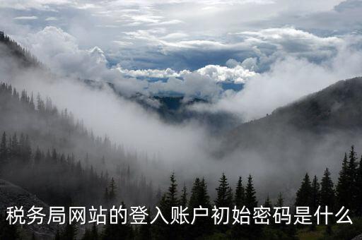 廣東國稅網(wǎng)登錄密碼是什么意思，稅務局網(wǎng)站的登入賬戶初始密碼是什么