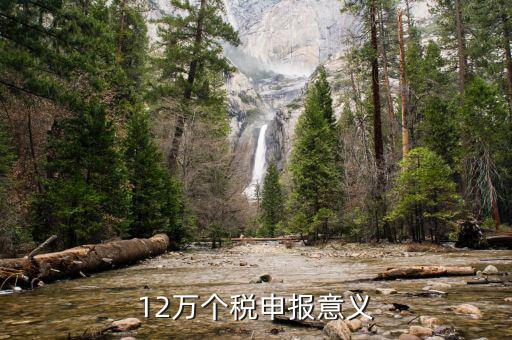 12萬為什么個稅申報表，12萬以上個人所得稅申報是什么意思