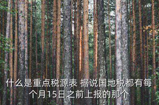 稅源監(jiān)控表是什么，股東股權(quán)變更稅源監(jiān)控登記表怎么填寫(xiě)