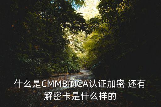 東莞ca證書(shū)密碼是什么意思，機(jī)構(gòu)代碼的ca證書(shū)的PIN碼是什么我用CA證書(shū)登陸國(guó)稅時(shí)提示詳細(xì)