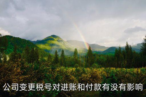 稅號變更是什么意思，公司變更稅號對進賬和付款有沒有影響