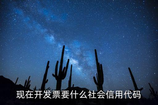 發(fā)票的社會信用代碼是什么意思，現在開發(fā)票要的社會信用代碼是誰的代碼