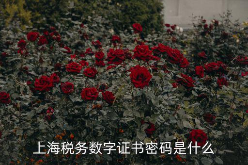 稅務數(shù)字證書密碼是什么，稅務密鑰是什么東西是數(shù)字證書嗎
