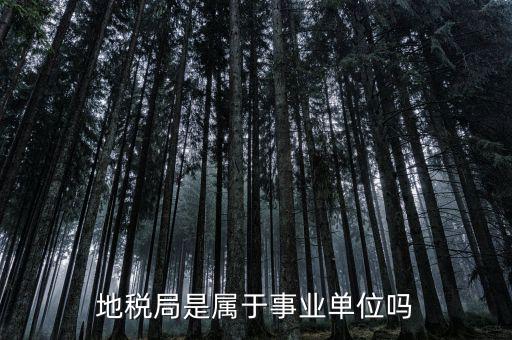 地稅屬于什么單位，地稅局是屬于事業(yè)單位嗎