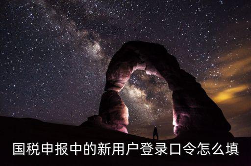 國(guó)稅用戶(hù)口令是什么，我想問(wèn)下國(guó)家稅務(wù)網(wǎng)上申報(bào)點(diǎn)擊安全登錄時(shí)出現(xiàn)的用戶(hù)口令是什么