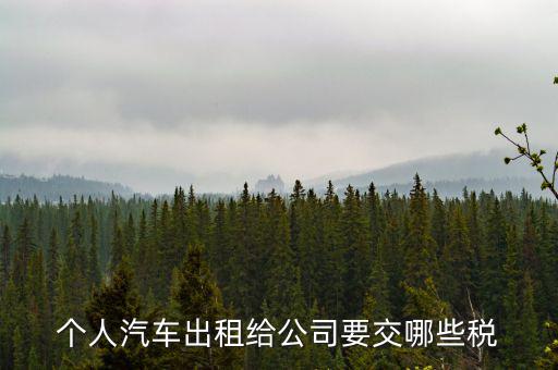 車輛租賃交什么稅，轎車租賃需繳納多少稅控