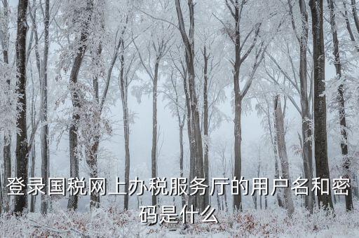 什么是電子稅務(wù)局登錄賬號(hào)，登錄國(guó)稅網(wǎng)上辦稅服務(wù)廳的用戶名和密碼是什么
