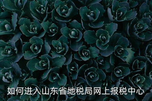 山東地稅密碼是什么，我在山東地稅網上報稅密碼怎么查