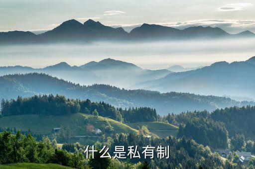 什么是特許權(quán)，什么是私有制