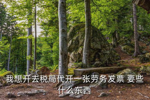 開勞務(wù)票需要什么條件，我想開去稅局代開一張勞務(wù)發(fā)票 要些什么東西