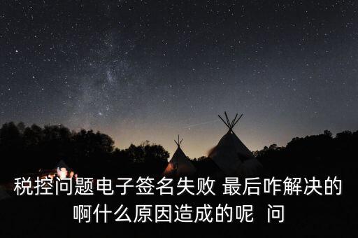 什么是稅控簽名，報稅時數(shù)字簽名是甚么意思