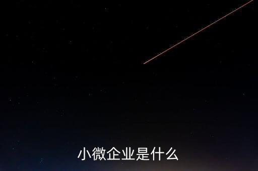 小微企業(yè)包括什么，小微企業(yè)是什么