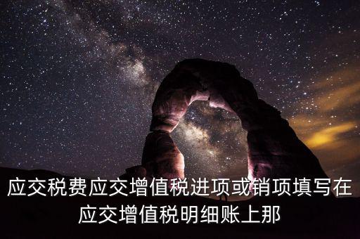 扣繳稅款登記填什么稅，在個人所得稅代扣代繳軟件中所要填寫的稅務(wù)登記號是填國稅的還是地