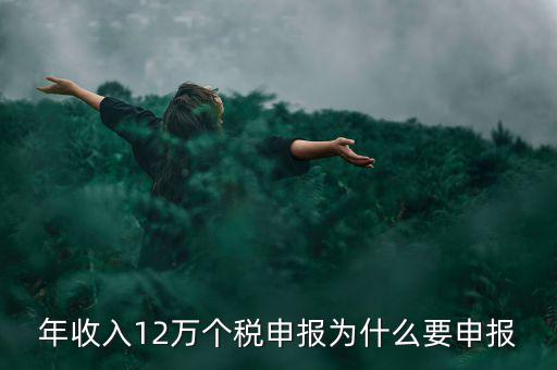 為什么12萬(wàn)個(gè)稅申報(bào)表，12萬(wàn)以上個(gè)人所得稅申報(bào)是什么意思