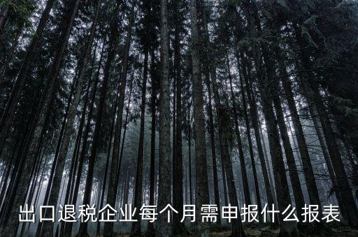 出口退稅每月需做什么申報，外貿(mào)企業(yè)第一次申報出口退稅需要準(zhǔn)備哪些資料