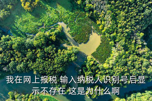 個(gè)稅主賬戶不存在什么意思，為什么個(gè)稅網(wǎng)絡(luò)在線報(bào)稅登錄時(shí)用戶號(hào)不存在