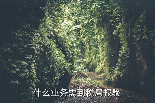 什么是稅務(wù)報驗，地稅發(fā)票報驗是什么回事啊 怎么報驗什么時候報驗啊