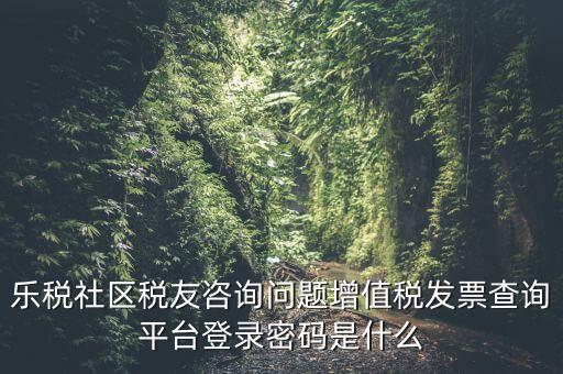發(fā)票認(rèn)證平臺(tái)登陸密碼是什么，國稅局發(fā)票軟件里用戶代碼和密碼是什么