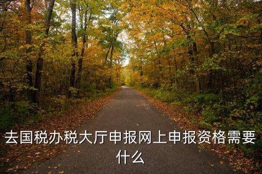 國(guó)稅網(wǎng)上申報(bào)用什么資料，去國(guó)稅辦稅大廳申報(bào)網(wǎng)上申報(bào)資格需要什么