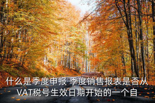 什么是季度申報表，有關(guān)企業(yè)申報的季度報表