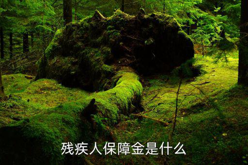 什么叫殘疾人就業(yè)保障金，殘疾人就業(yè)保障金