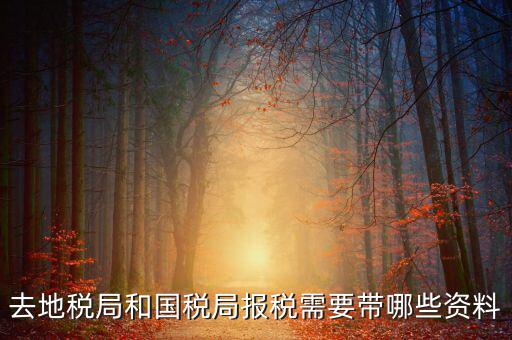 國(guó)稅報(bào)稅需要什么材料，去地稅局和國(guó)稅局報(bào)稅需要帶哪些資料