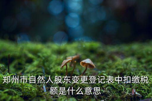 扣繳稅款登記是什么意思，應(yīng)當(dāng)按照稅收征管法等有關(guān)規(guī)定辦理扣繳稅款登記領(lǐng)取扣繳憑
