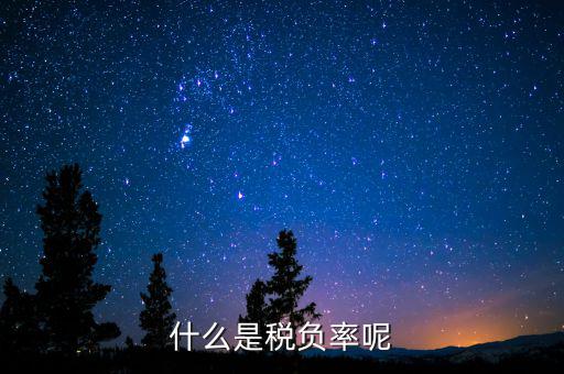 什么是beps，中國(guó)銀行網(wǎng)上銀行轉(zhuǎn)賬錯(cuò)誤代碼BEPSE026是什么意思